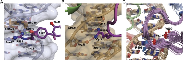 Fig. 4.