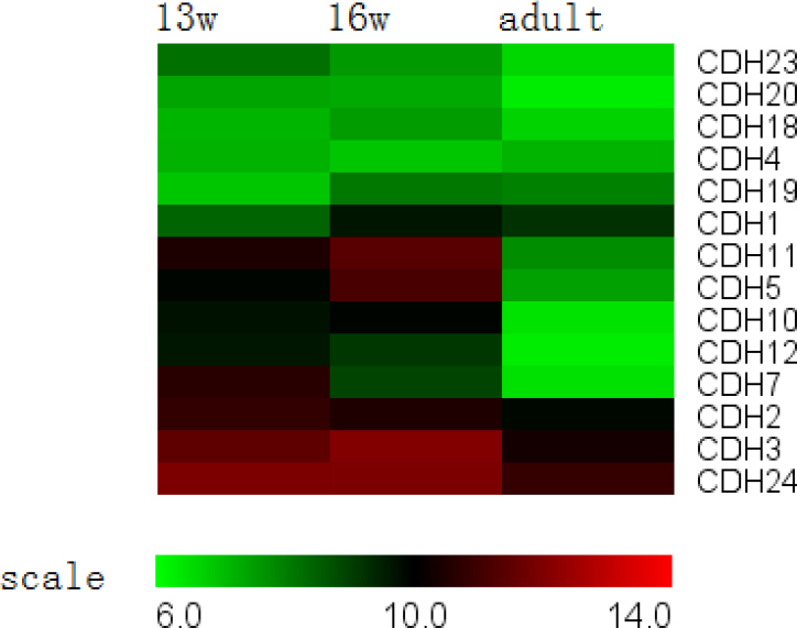 Figure 5