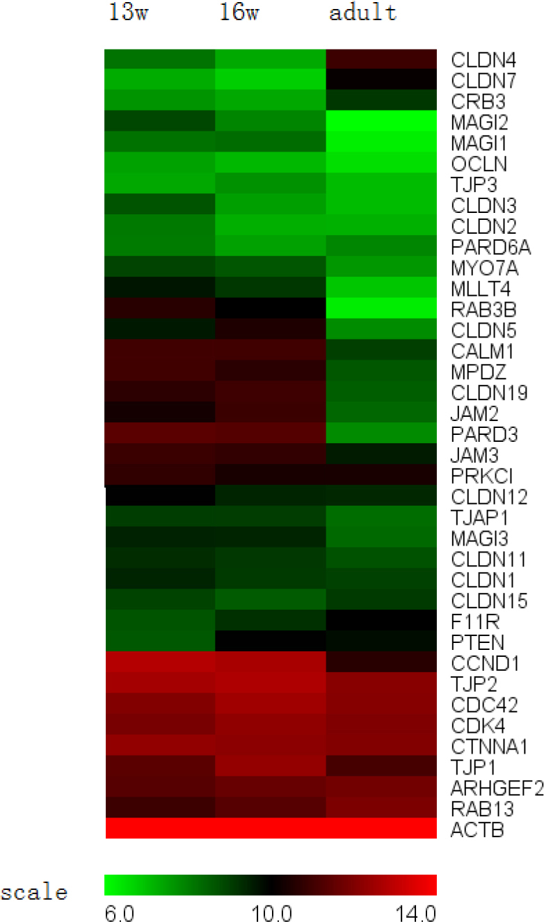 Figure 6