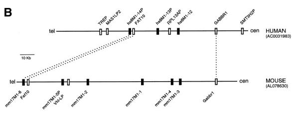 Figure 4b