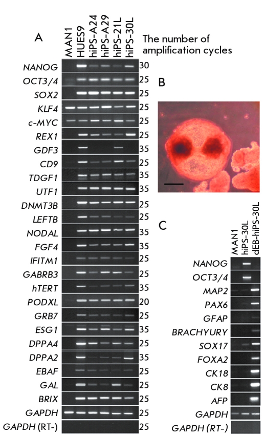 Fig. 4