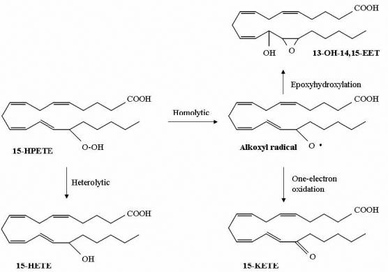 Scheme I