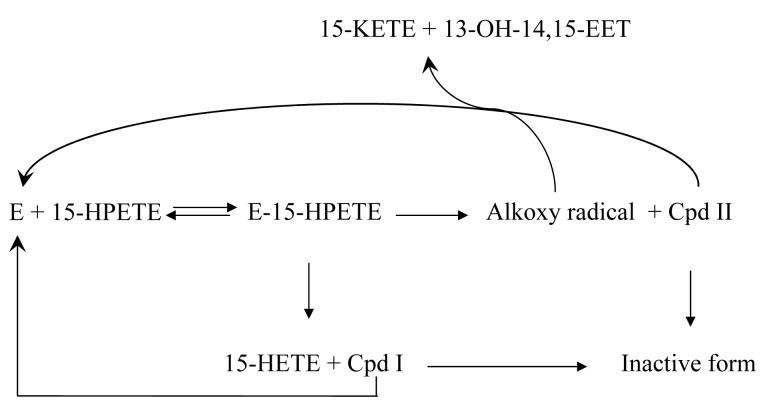 Scheme II