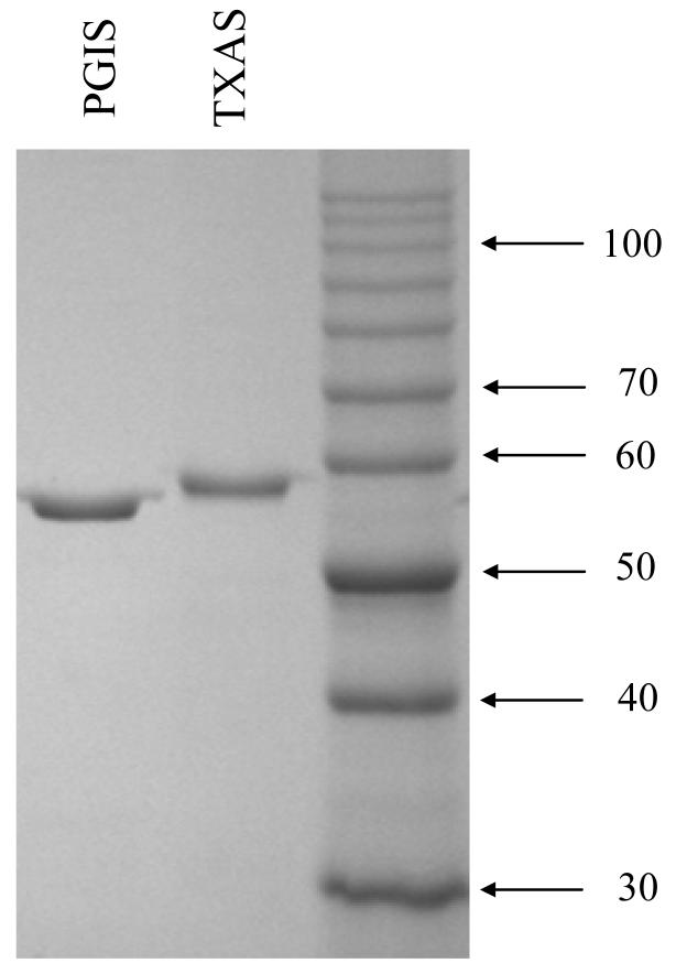 Fig.1