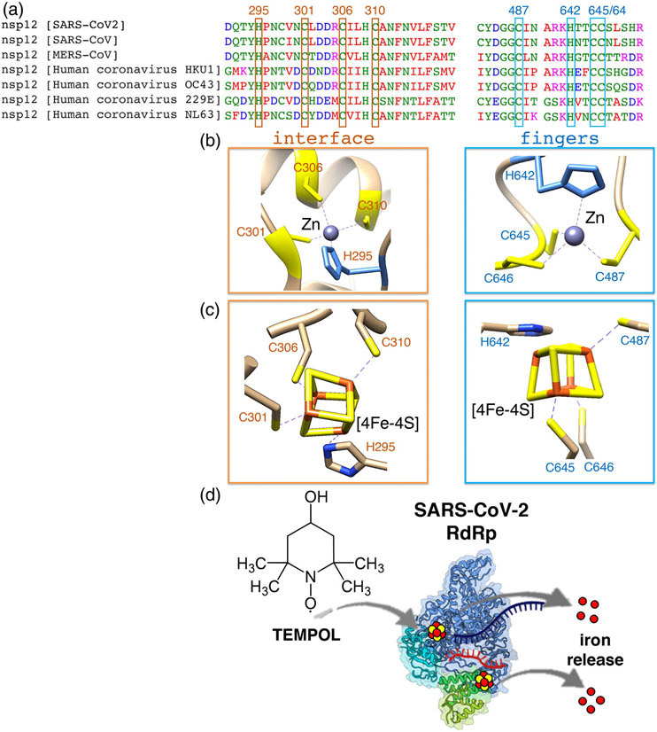 FIGURE 10