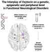 Graphical Abstract