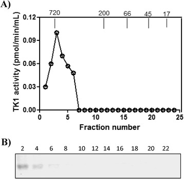 Figure 8