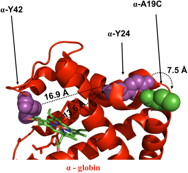 Fig. 8.