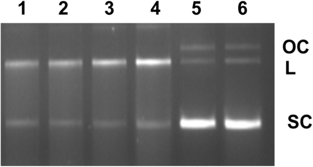 Fig. 7.