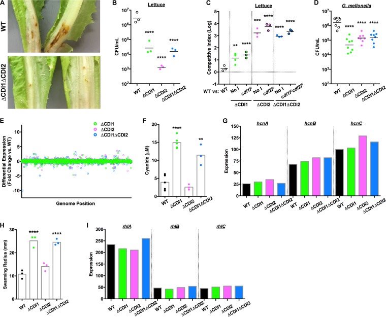 FIG 2 