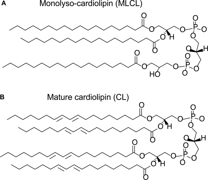 Figure 1.