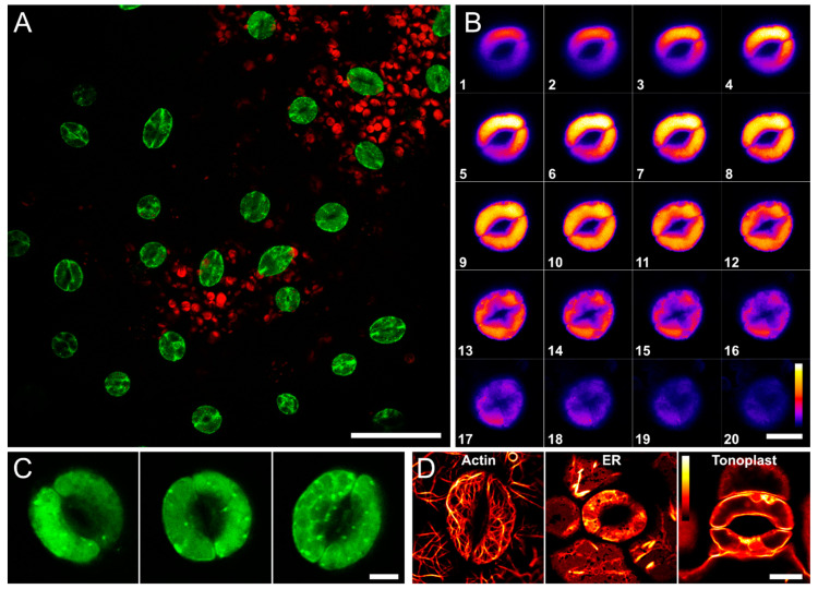 Figure 10