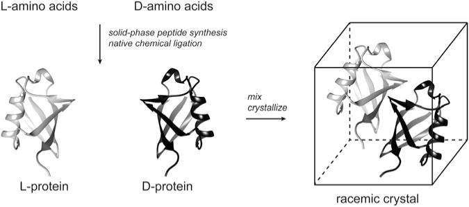 Fig. 12