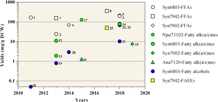 FIGURE 3