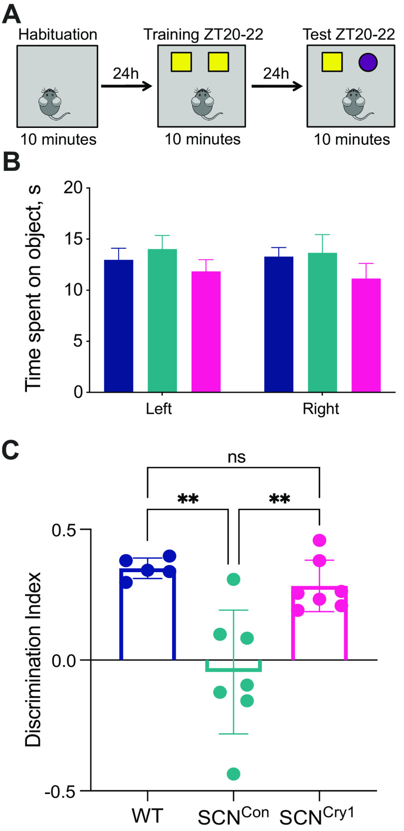 Figure 9.