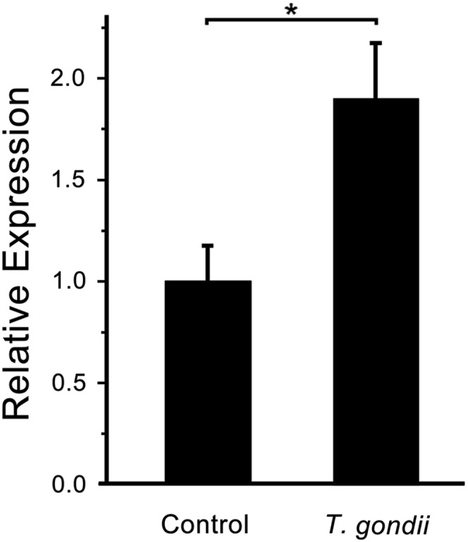 Fig. 4.