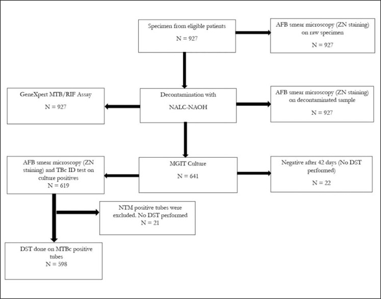 Fig 1