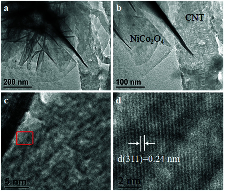 Fig. 3