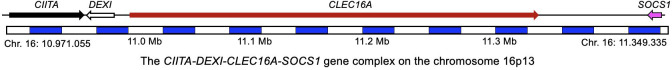 Figure 5