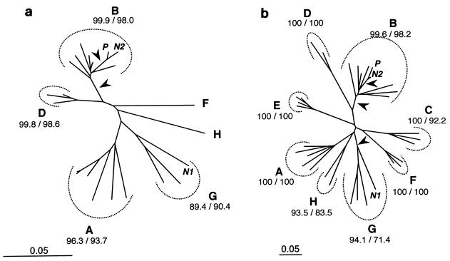 FIG. 3