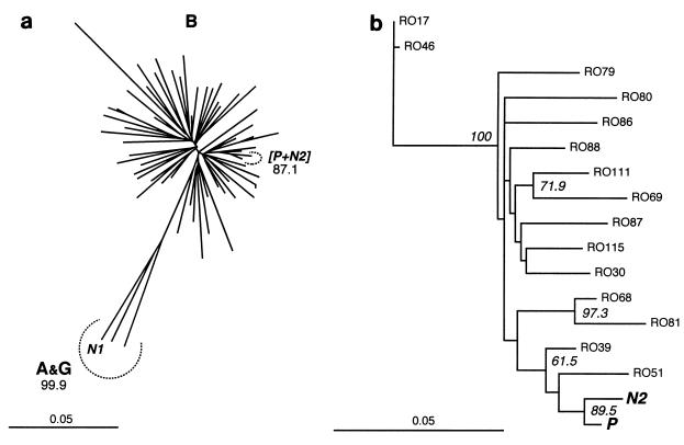 FIG. 4