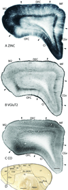 Fig 19