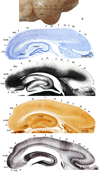 Fig 9