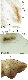 Fig 13