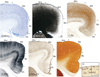 Fig 20