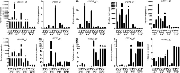 Fig 6