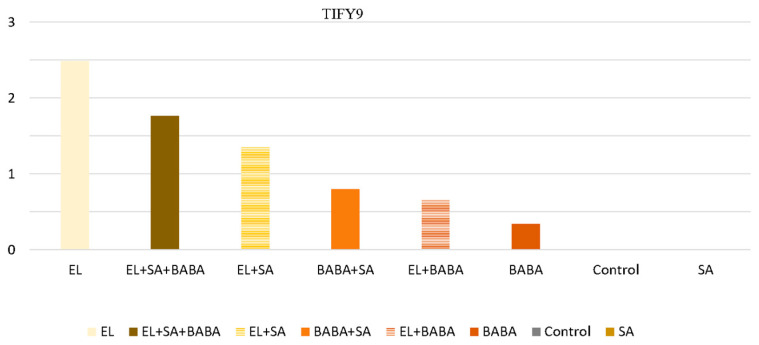 Figure 5