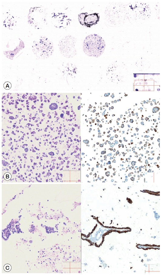 Fig. 6.