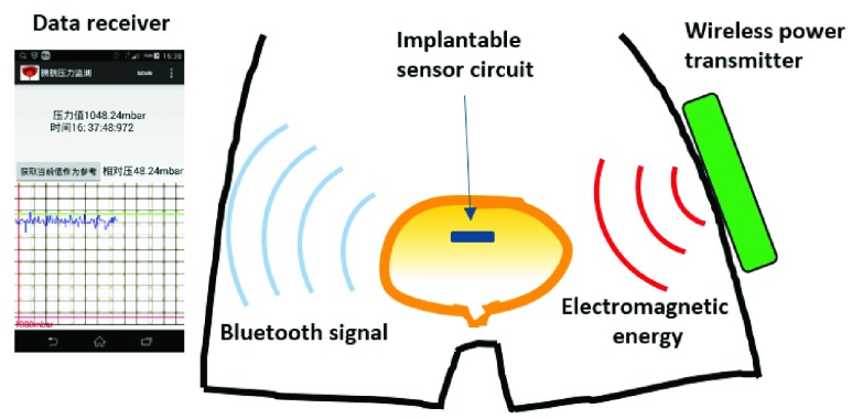 FIGURE 1.