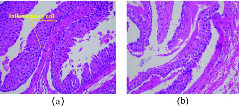 FIGURE 14.