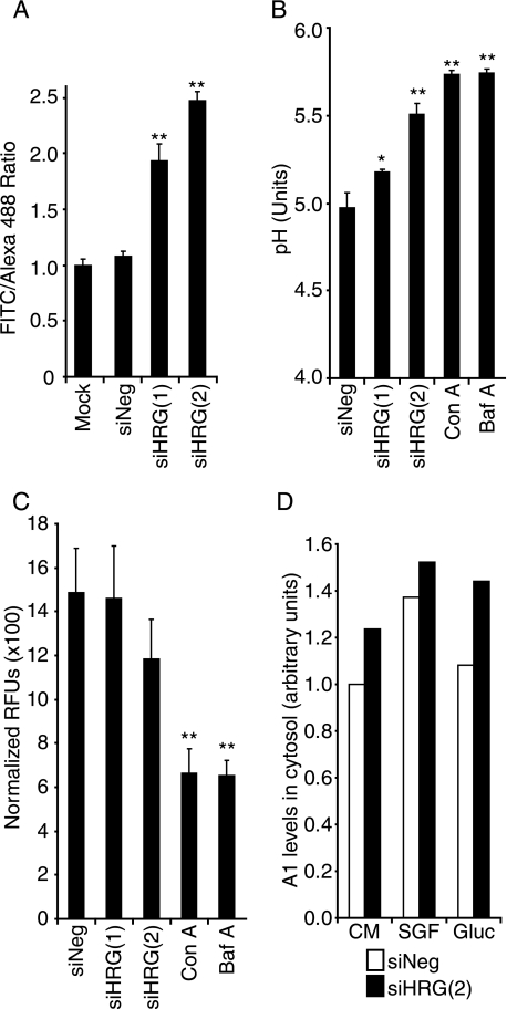 FIGURE 5.