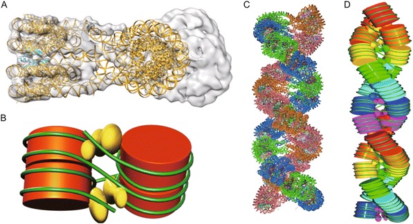 Figure 1