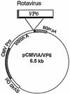 FIG. 1