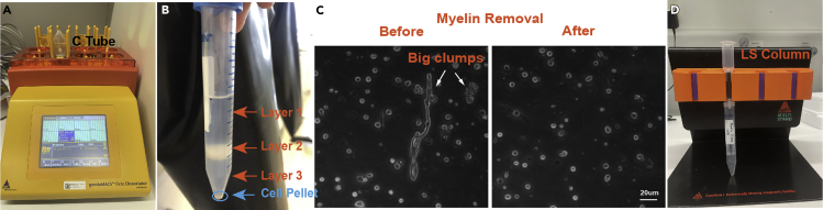 Figure 3