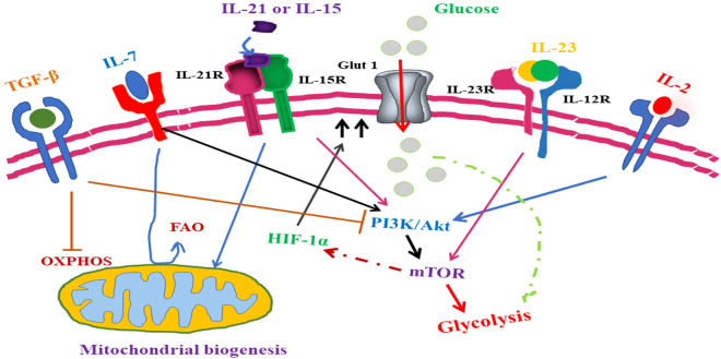 Figure 5