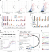 Figure 3. BTM-3528 activates the ATF4-linked mitochondrial stress response A) Volcano plots showing the adjusted P-value (−log10 P) versus the fold change (log2) for 14,287 genes after 2,4,6, and 8 hours of treatment with BTM-3528 versus vehicle. The dashed lines indicate the log2-FC cutoff = 1.0 and the Padj cutoff = 10–3. ATF4-target genes (71) are indicated by red font. B, qPCR analysis of a panel of cell lines treated with BTM-3528 for 8 hours. Bottom, gene changes expressed as mean log2-FC compared with vehicle (n = 3). Top, corresponding −logP value for each triplicate sample as compared with vehicle. C, BTM-3566 induces tumor ATF4 gene expression in a dose-dependent manner in vivo. On day 5 of dosing, tumor tissue was harvested for qPCR analysis of mRNA expression. All data are expressed as the mean fold change (bottom) and corresponding −logP (top) for the contrast BTM versus vehicle for each gene. D, Immunoblot of phosphorylated eIF2α in HCT-116 following treatment with BTM-3528 for the indicated time. E, Dose response of nuclear ATF4 protein abundance in HCT-116 cells treated with BTM3528 for the indicated time and dose. F, Gene set enrichment analysis (GSEA) of 1,773 canonical pathway gene sets from MSigDB C2 of BTM-3528–treated samples versus controls at 8 hours. Plotted are normalized enrichment scores (NES) against the false discovery rate (FDR). The enrichment cutoff (FDR < 0.05) is indicated by the dashed line. G, Top, GSEA for ATF6 target genes; middle, XBP1 target genes; bottom, mitostress signature in HCT116 cells treated with BTM3528 for 8 hours.