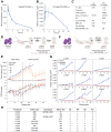 Figure 2. BTM-3566 has favorable pharmacokinetics and induces durable remissions in DLBCL-xenograft models. A, Plasma concentration of BTM-3566 after bolus intravenous administration of 1 mg/kg BTM-3566. N = 3 animals per condition. B, Plasma concentration of BTM-3566 after oral gavage dosing of 10 mg/kg BTM-3566. C, PK parameters for dosing of BTM-3566 in the mouse. D, Graphical representation of the Su-DHL-10 xenograft model: Cells were implanted subcutaneously in the flank of SCID beige (C.B-17/IcrHsd- Prkdc scidLystbg-J) mice and grown until tumor volume reached 200 mm3 prior to randomization into four groups. Mice were then dosed orally, once a day with vehicle or a solution of 10, 20, or 30 mg/kg BTM-3566 dissolved in 5%NMP/15% Solutol/10% PEG400/70% D5W. E, SU-DHL-10 xenograft model: top, tumor volume over time; bottom, body weight over time. The vertical line at day 21 represents the end of drug dosing. All data are the mean ± SD (n = 10 animals). F, Graphical representation of the DLBCL PDX-models: nine human DLBCL PDX tumors were established in SCID mice and grown for 11 to 23 days to reach 200 mm3 before randomization. All groups received drug or vehicle for 21 days. Treatment arms received BTM-3566, 20 mg/kg, orally, once a day. Tumor volume was measured and recorded every other day. G, Tumor growth curves over time in nine PDX models. All data represented as mean ± SD (n = 3 animals). • = Vehicle; • = BTM-3566. H, Tabulated results of PDX model testing. CR, complete response, no palpable tumor; PR, partial response, palpable tumor with volume >50% less than baseline; SD, stable disease, tumor volume is not increased above baseline; PD, progressing disease where tumor is larger than starting tumor volume.