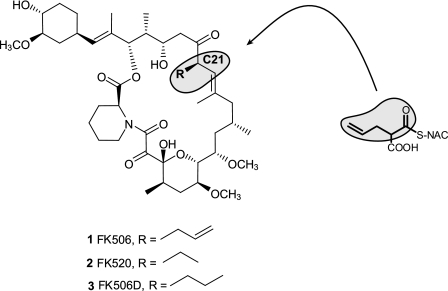 FIGURE 1.