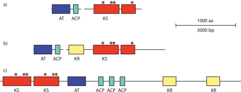 FIGURE 3.