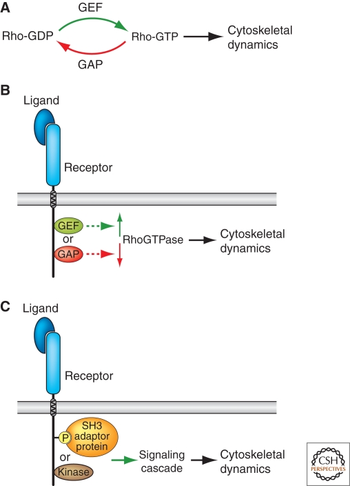 Figure 7.