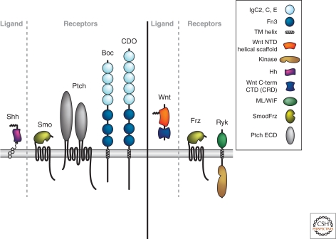 Figure 5.