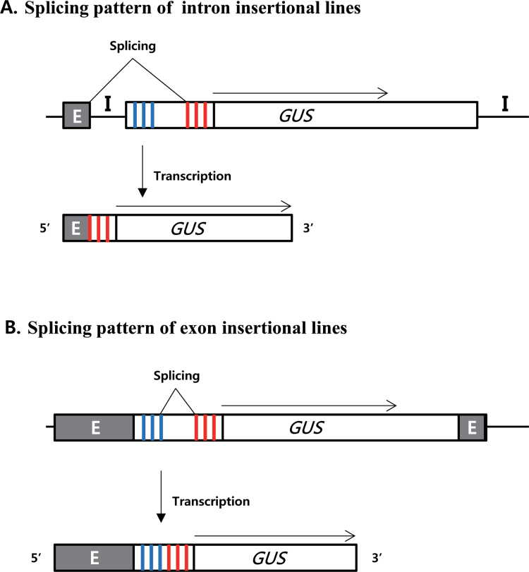 Fig. 8.