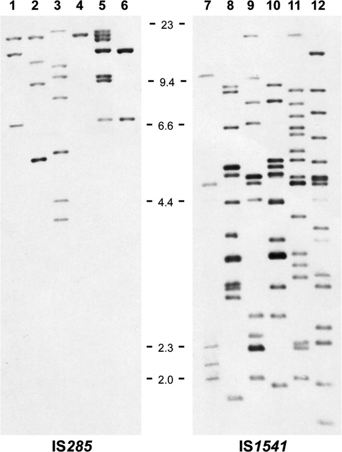 FIG 1