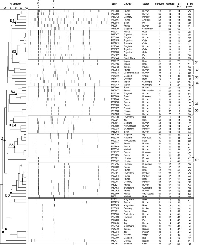 FIG 3