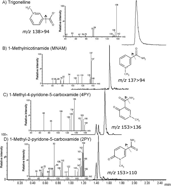 Fig. 2. Selected ion recording chromatogram of precursor ion and the product ion spectrum of (A) trigonelline, (B) 1-methylnicotinamide, (C) 1-methyl-4-pyridone-5-carboxamide (4PY), and (D) 1-methyl-2-pridone-5-carboxamide (2PY).