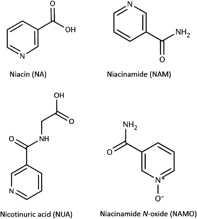 Fig. 1. Structure of niacin (NA), niacinamide (NAM), nicotinuric acid (NUA) and niacinamide N-oxide (NAMO).